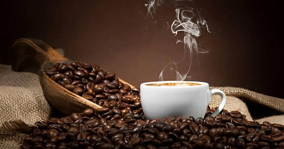 Wellhealthorganic.com: Morning Coffee Tips with No Side Effect