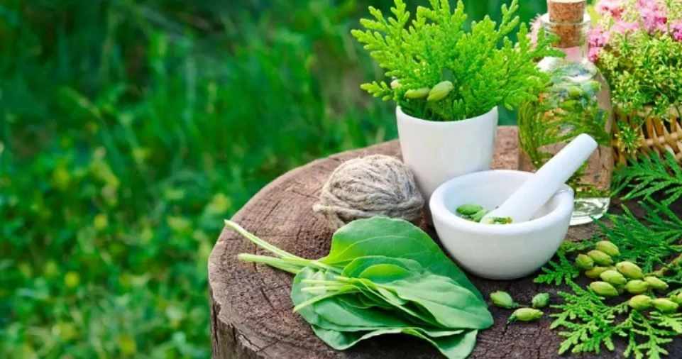 Ayurvedic Health Tips for Daily Life